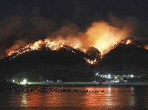 Kebakaran Hutan Terparah di Jepang Terus Meluas Kebakaran Hutan Terparah di Jepang Terus Meluas
