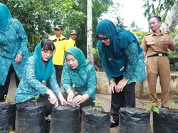 Ketua TP PPK Trenggalek Bagikan Benih Cabai Dorong Kemandirian Pangan