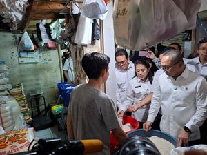 Zulhas Sebut Stok Beras RI Surplus 2,5 Juta Ton, Tertinggi 7 Tahun Terakhir