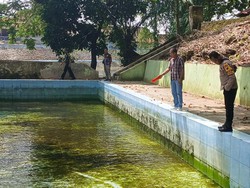Ibu dan Balitanya Ditemukan Tewas Tenggelam di Sendang Kajengan Blora