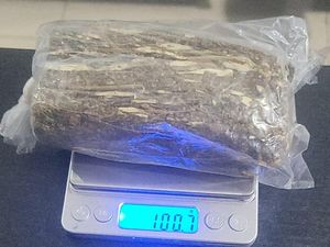 Pria di Bone Pesan Ganja 100 gram Lewat Instagram Ditangkap