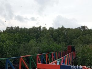 Cuaca Cirebon Hari Ini Sabtu 27 Juni 2026: Cerah Berawan
