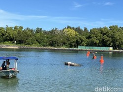 Bali Bakal Punya Pelabuhan Internasional Baru, Bisa Tampung 140 Yacht