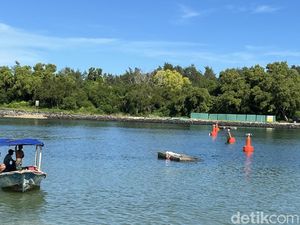 Pagar Laut di Serangan Kembali Dicopot, Kini Diganti Pelampung Navigasi Pagar Laut di Serangan Kembali Dicopot, Kini Diganti Pelampung Navigasi