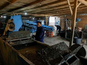 Bisnis Daur Ulang di Kosovo Terancam Imbas Pembekuan Dana USAID oleh Trump Bisnis Daur Ulang di Kosovo Terancam Imbas Pembekuan Dana USAID oleh Trump