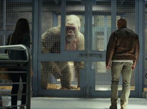 Sinopsis Film Rampage: Teror Monster Raksasa di Tengah Kota