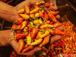 Biang Kerok Harga Cabai Tembus Rp 100.000/Kg Terungkap