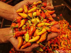 Biang Kerok Harga Cabai Tembus Rp 100.000/Kg Terungkap Biang Kerok Harga Cabai Tembus Rp 100.000/Kg Terungkap