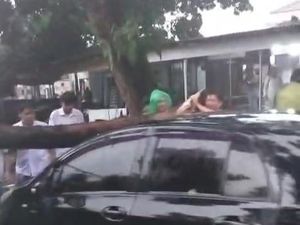 Pohon Tumbang di Bogor Timpa Mobil hingga Motor gegara Hujan Angin