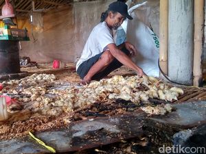 Kandang di Klaten Terbakar, 4.000 Ekor Ayam Mati