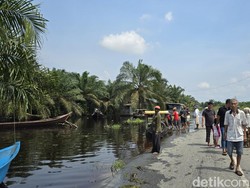 Jalan-Pemukiman di Pelalawan Terendam Banjir, Aktivitas Warga Terganggu