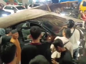 Pohon Tumbang Timpa Mobil di Jalan Gatsu Medan Pohon Tumbang Timpa Mobil di Jalan Gatsu Medan