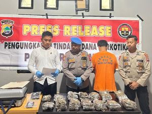 Polisi Gagalkan Penyelundupan 2,2 Kg Ganja dari Jayapura di Sorong Polisi Gagalkan Penyelundupan 2,2 Kg Ganja dari Jayapura di Sorong