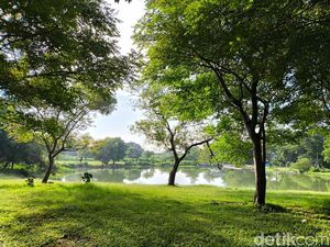 Ngabuburit Sambil Ngadem Dulu di Danau Ciperna Cirebon Ngabuburit Sambil Ngadem Dulu di Danau Ciperna Cirebon
