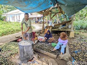 Curhat Ade Perajin Kolang-kaling di Ciamis yang Kesulitan Bahan Baku Curhat Ade Perajin Kolang-kaling di Ciamis yang Kesulitan Bahan Baku