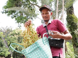 Pria di Ponorogo Bagikan Kurma Muda Gratis untuk Ibu yang Ingin Hamil Pria di Ponorogo Bagikan Kurma Muda Gratis untuk Ibu yang Ingin Hamil