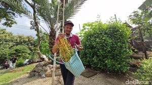 Potret Pria di Ponorogo Bagikan Kurma Gratis untuk Ibu yang Ingin Hamil