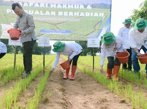 Solusi untuk Swasembada Pangan Meski di Lahan Kering Solusi untuk Swasembada Pangan Meski di Lahan Kering