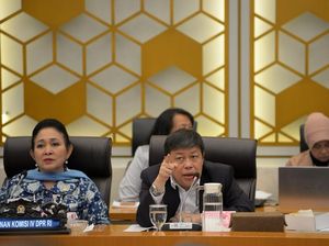 Pimpinan Komisi IV DPR Ingatkan Lagi Pesan Prabowo soal Gabah ke Bulog
