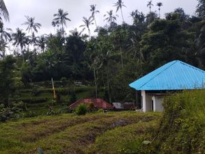 Beragam Anyaman Bambu dari Desa Angseri Beragam Anyaman Bambu dari Desa Angseri