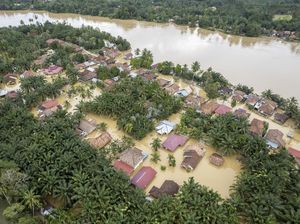 Foto Udara Banjir Merendam Tebo Jambi