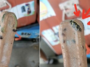 Geli! Ada Ular Beku dalam Es Krim yang Dimakan Pria Ini Geli! Ada Ular Beku dalam Es Krim yang Dimakan Pria Ini