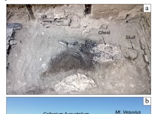 Misteri Otak Kaca Korban Letusan Gunung Vesuvius di Herculaneum Misteri Otak Kaca Korban Letusan Gunung Vesuvius di Herculaneum