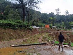 Usai Dibongkar, Area Hibisc Puncak Bogor Bakal Ditanam 23 Ribu Pohon