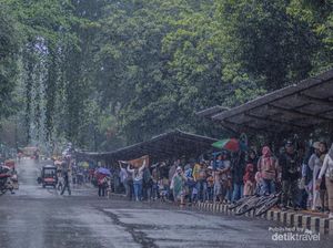 Ragunan di Kala Musim Hujan, Sebuah Pengalaman Fotografi Ragunan di Kala Musim Hujan, Sebuah Pengalaman Fotografi