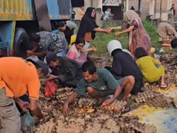Video: Kata Polisi soal Viral Warga Punguti Telur Tercecer dari Pikap yang Tabrakan