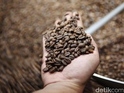 Ekspor Kopi RI Naik 76,33% Jadi US$ 1,6 M, Paling Banyak ke AS-Rusia