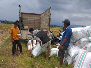 Bulog Mulai Serap Gabah Petani Rp 6.500 per Kg di Bima, Targetkan 60 Ribu Ton Bulog Mulai Serap Gabah Petani Rp 6.500 per Kg di Bima, Targetkan 60 Ribu Ton