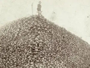 Foto Gunung Tengkorak Bison Ungkap Sejarah Kelam Penindasan Penduduk Asli AS