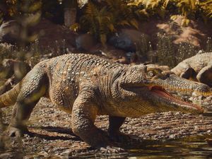Rahasia Mengapa Buaya Tidak Ikut Punah di Zaman Dinosaurus, Apa Itu? Rahasia Mengapa Buaya Tidak Ikut Punah di Zaman Dinosaurus, Apa Itu?