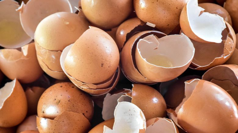 Jangan Dibuang! 5 Bahan Sisa di Dapur Ini Punya Manfaat Ekstra