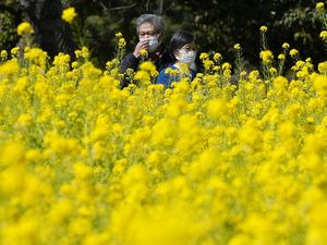 Krisis Kelahiran, Jepang Hanya Punya Waktu Sampai 2030