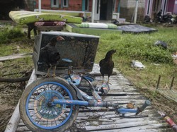 3 Barang Pembawa Sial Menurut Feng Shui, Nomor 1 Masih Banyak Disimpan Orang