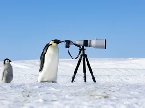 Karya Luar Biasa Jawara Foto Alam 2024