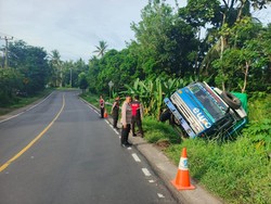 Gagal Nanjak di Jalan Denpasar-Gilimanuk, Truk Terperosok ke Kebun Warga