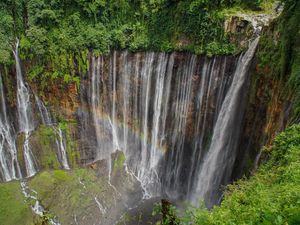 7 Alternatif Destinasi Wisata Dataran Tinggi Bersuhu Dingin Selain Kota Batu