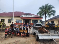 Komplotan Pencuri Buah Sawit Bersenpi di Babel Diringkus