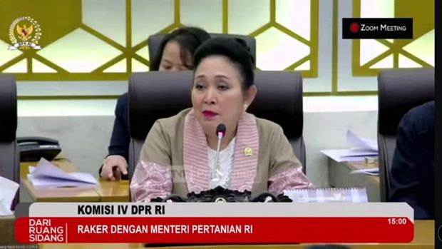 Ketua Komisi IV DPR Titiek Soeharto