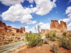 Taman Nasional AS Terdampak Kebijakan Trump, Turis Kanada Tak Mau Datang