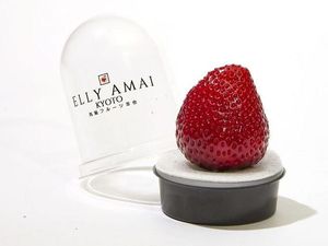 4 Fakta Stroberi Tochiaika yang Harganya Rp 300 Ribu per Buah 4 Fakta Stroberi Tochiaika yang Harganya Rp 300 Ribu per Buah