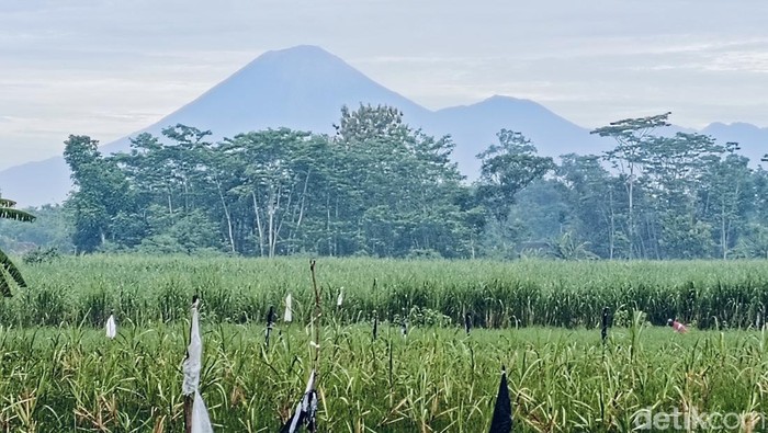 Gunung Semeru Erupsi Pagi Ini, Luncurkan Abu Vulkanik Setinggi 1 Kilometer