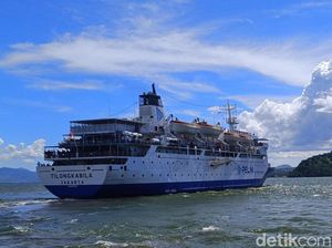 Jadwal Kapal Pelni KM Wilis Juli 2025 dari Batulicin, Ini Rute dan Harga Tiketnya Jadwal Kapal Pelni KM Wilis Juli 2025 dari Batulicin, Ini Rute dan Harga Tiketnya