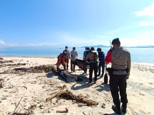 Mayat Misterius Ditemukan Membusuk di Gili Nanggu Sekotong Mayat Misterius Ditemukan Membusuk di Gili Nanggu Sekotong