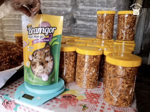 Keren! Usaha Bawang Goreng di Sukoharjo Ini Olah 5 Kuintal Bawang Sehari Keren! Usaha Bawang Goreng di Sukoharjo Ini Olah 5 Kuintal Bawang Sehari