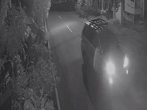 Heboh Mobil Misterius Gondol 4 Kambing di Kokap Kulon Progo Heboh Mobil Misterius Gondol 4 Kambing di Kokap Kulon Progo