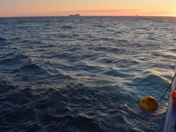 Sirkulasi Atlantik Diperkirakan Melemah Drastis, Apa Dampaknya?